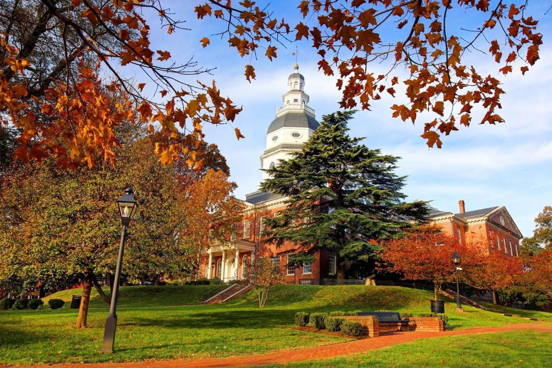 Seashell In The City - Itrip Annapolis Villa Екстериор снимка